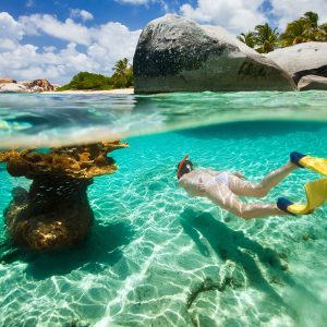 Snorkel Tour in Grand Turk’s Coral Reef