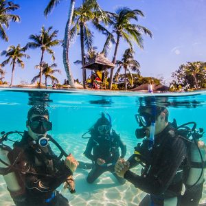 St.Lucia Coral Adventure